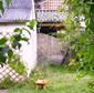 Kleinbunker Adolfstra&szlig;e 19